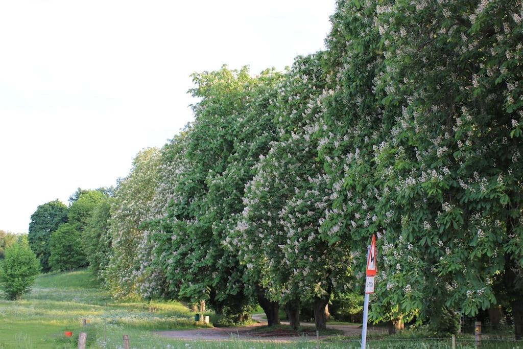 Cozy Near And Forrest * Tisvildeleje